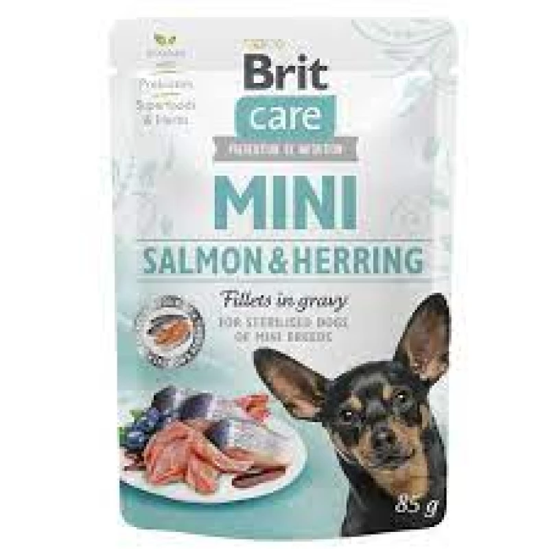 pochon-brit-care-mini-saumon-hareng-85gr