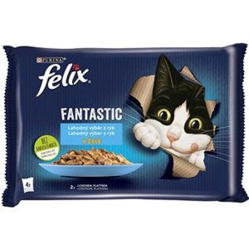 pack-felix-thon-saumon-485gr