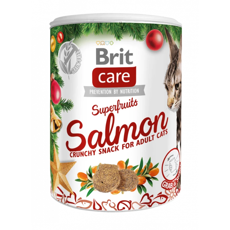 brit-care-snack-super-fruits-saumon-100gr