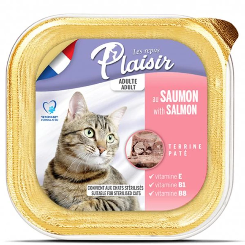 barquette-plaisir-pate-saumon-100gr